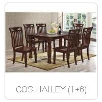 COS-HAILEY (1+6)